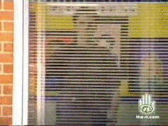 animation.gif