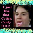 cotton.jpg